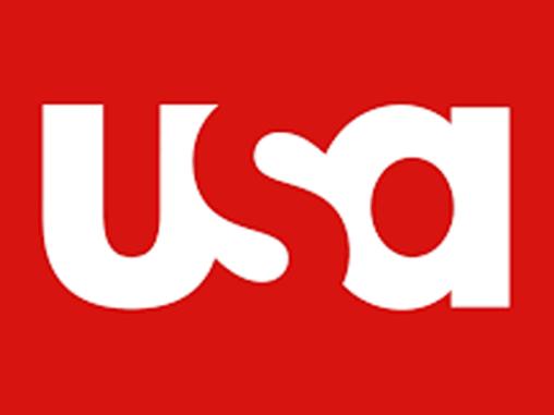 usa logo